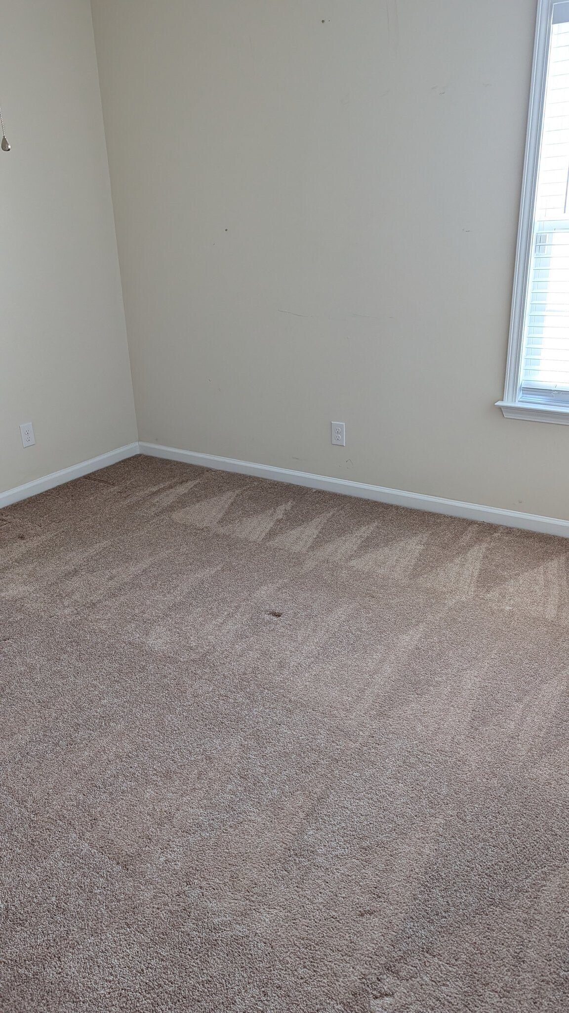 Building Photo - 409 Arecales Dr