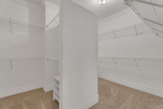 Building Photo - 225 Sagemoor Ct