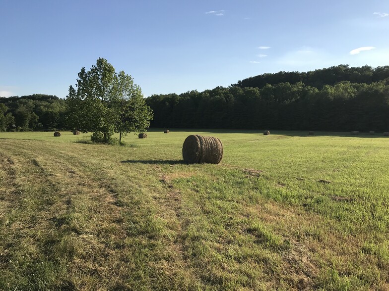 View 2 hay season - 7502 Borden Rd