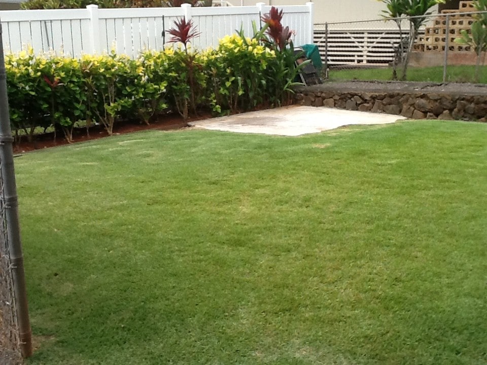 Fenced yard - 1375 Akalani Loop