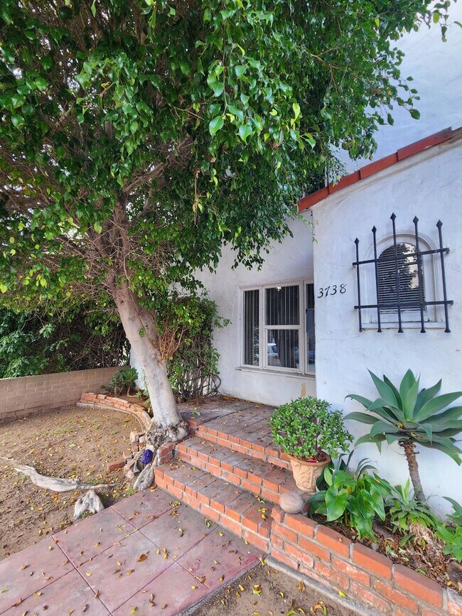 Interior Photo - Florida Street