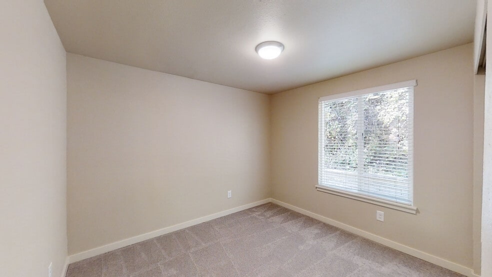 Second Bedroom/View of Trees - 3925 Mason Loop Rd