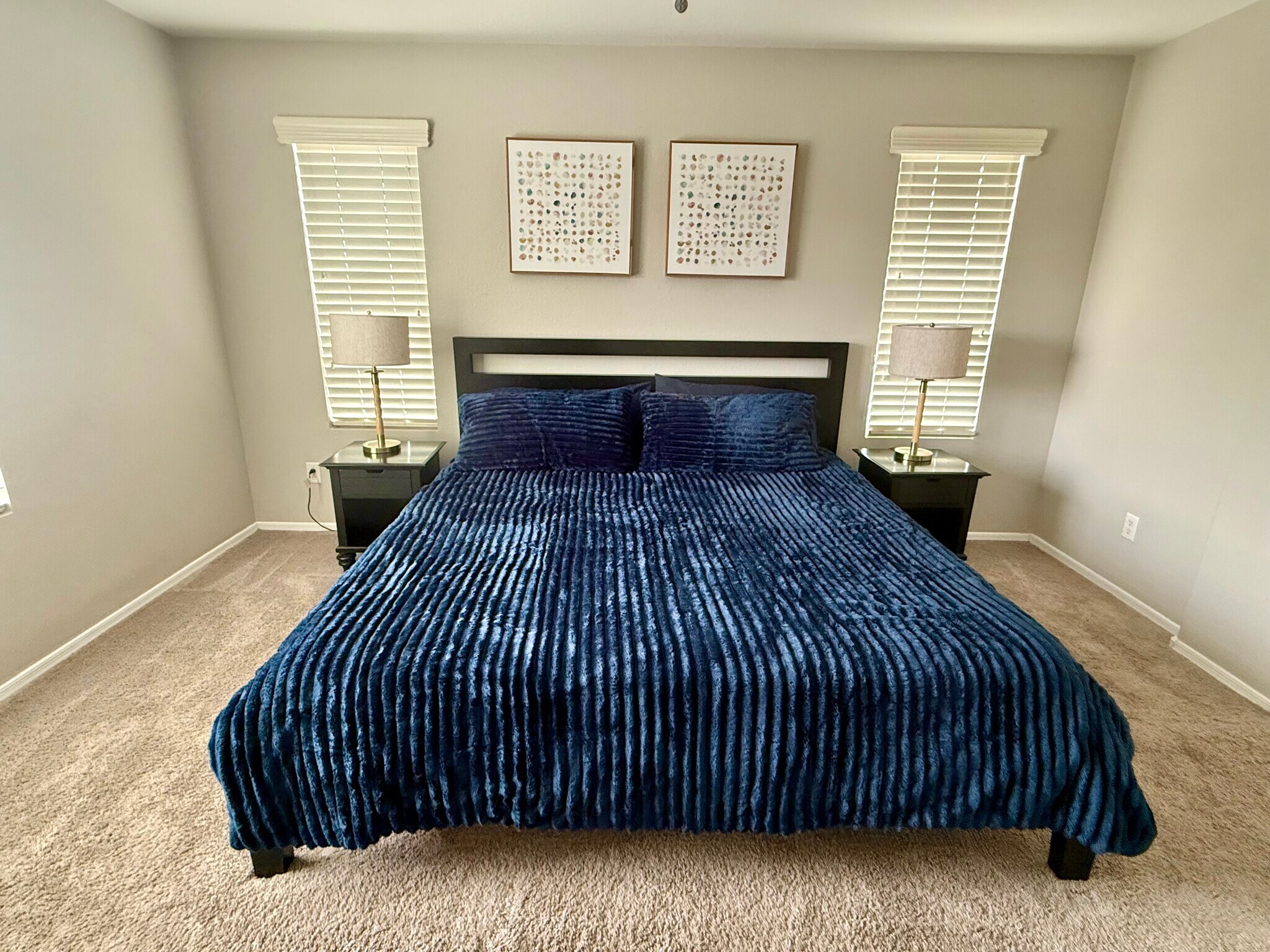 PRIMARY BEDROM W/WALK IN CLOSET - 3708 E Kerry Ln