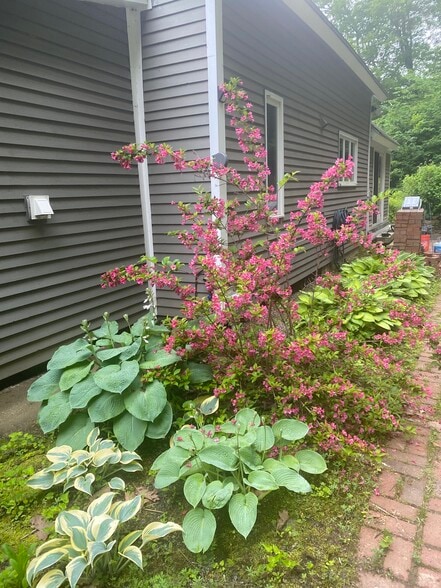 Building Photo - 326 Reservoir Dr