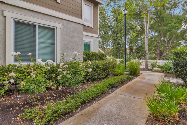 Building Photo - 26316 Los Viveros