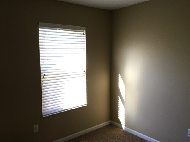 Building Photo - 1567 Wildbrook Ct