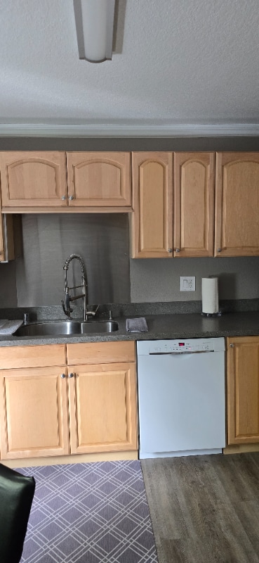 Primary Photo - 1208 Denali St