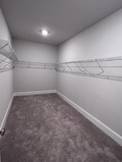 Building Photo - 335 Caledonia Ct