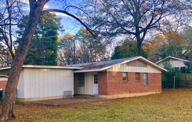 Building Photo - 3 Bedroom Mid-Century Rental