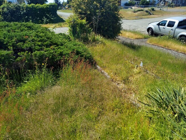 Building Photo - Charming Tacoma Home on a Peaceful Corner Lot!