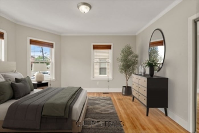 Building Photo - 798 Mt Auburn St