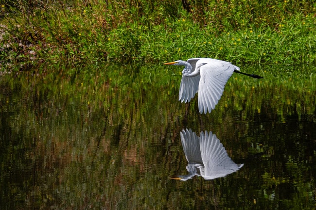 Building Photo - 2567 N Fitch Mountain Rd