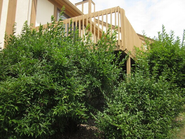Building Photo - 690 Forest Rd