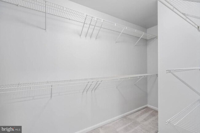 Building Photo - 8648 Royal Worcester Ln