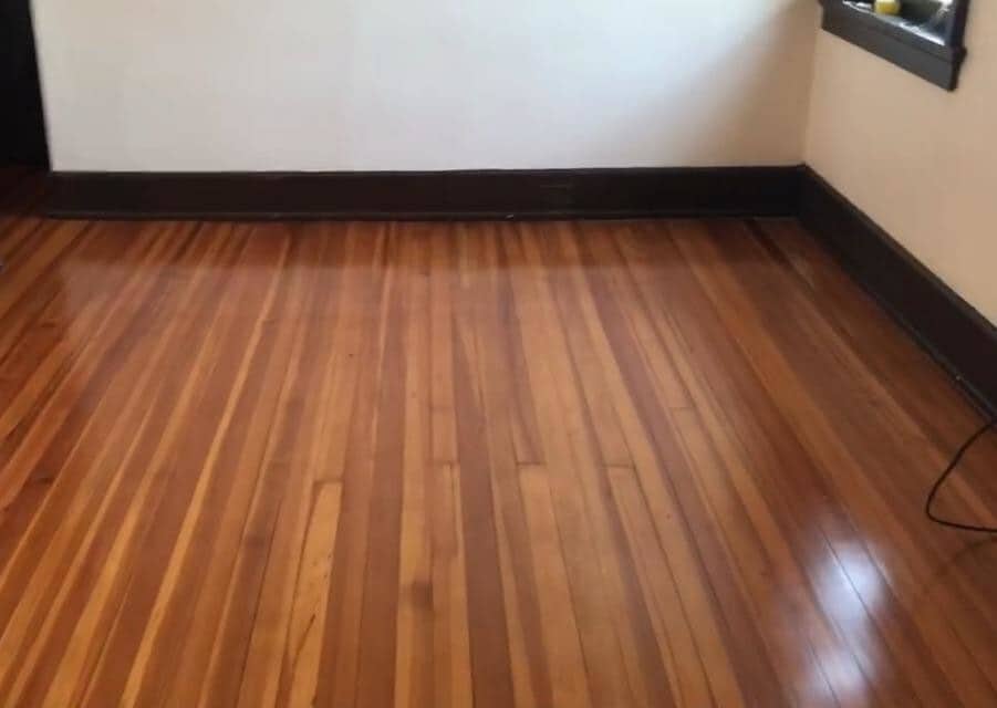 Hardwood Floors Throughout - 334 Thrall St