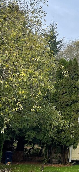 Building Photo - 14210 Beverly Park Rd