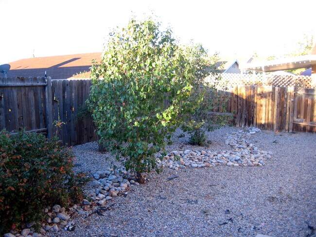 Building Photo - NW Albuquerque 3 Bedroom