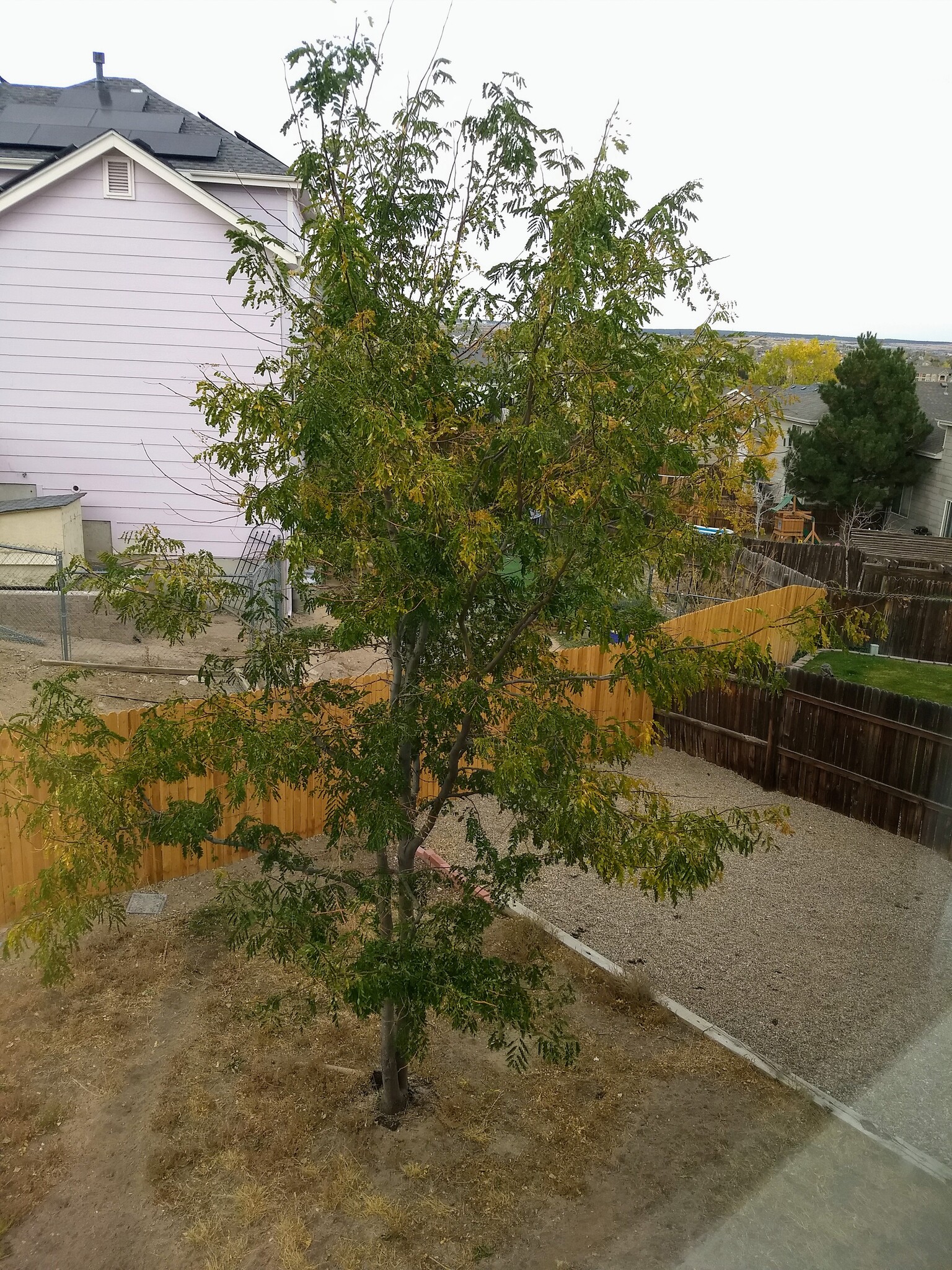 View From Master - 5016 Prairie Grass Ln