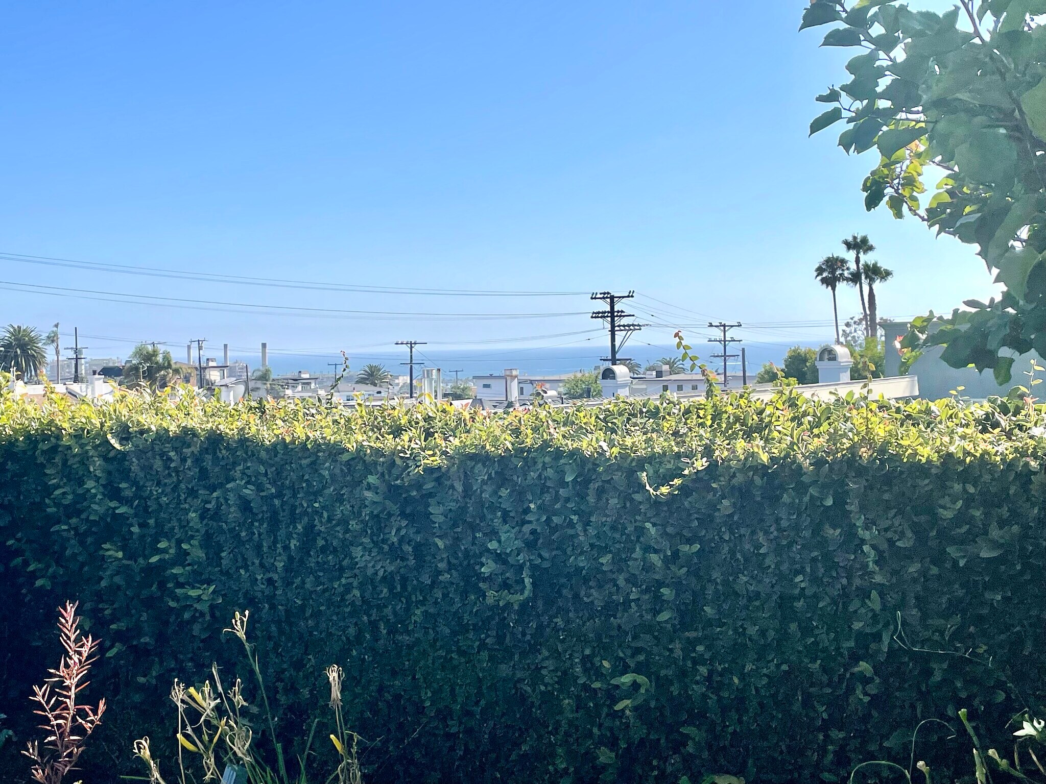 Sea view - 1136 8th St