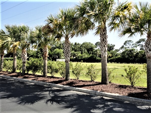 Building Photo - 5632 River Sound Terrace