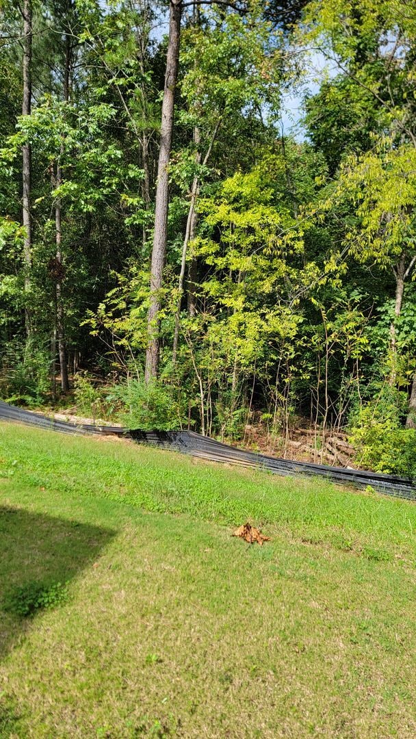 Building Photo - Located in Creedmore Hills a 4BR/2.5BA home with 2 car garage