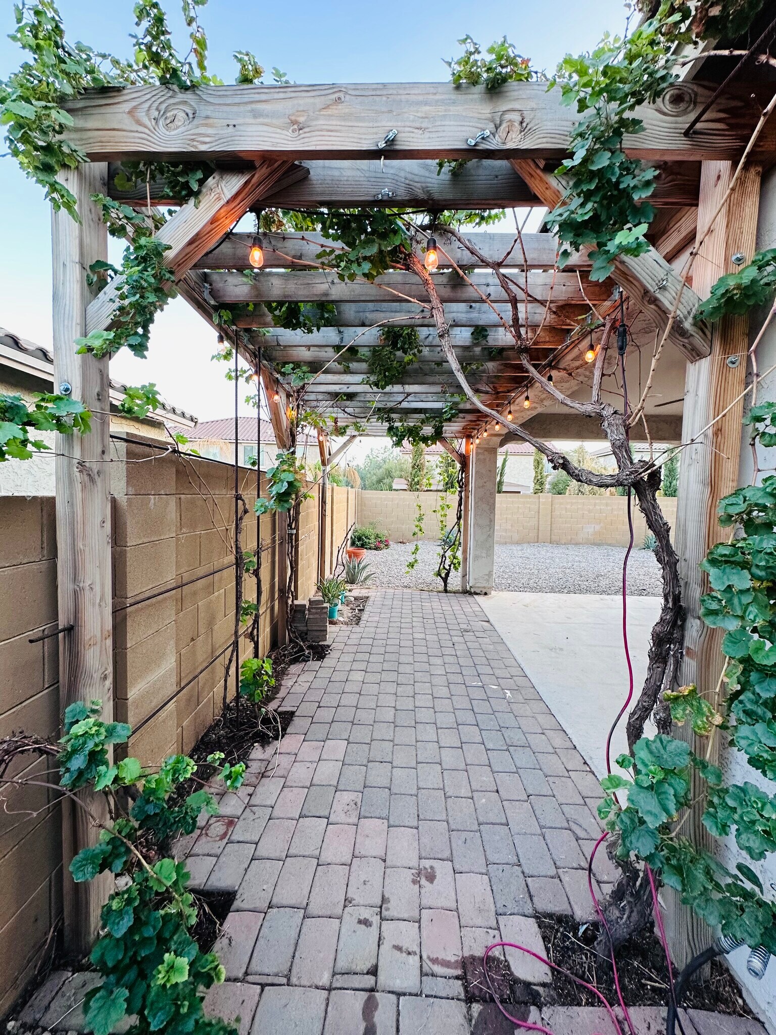 Pergola with grape vines - 18215 W Townley Ave