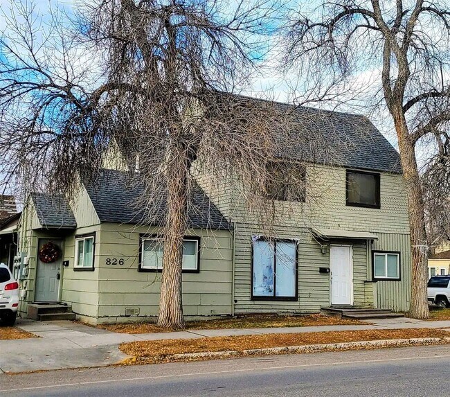 Primary Photo - 826 3rd Ave S