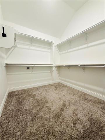 Building Photo - 4006 Cottontail Dr