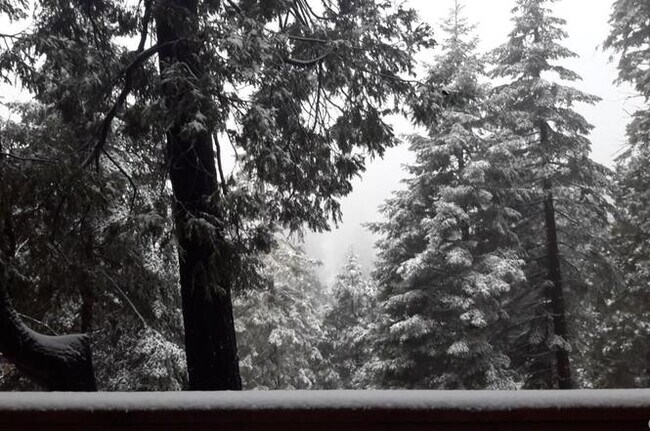 Building Photo - 31644 Christmas Tree Ln