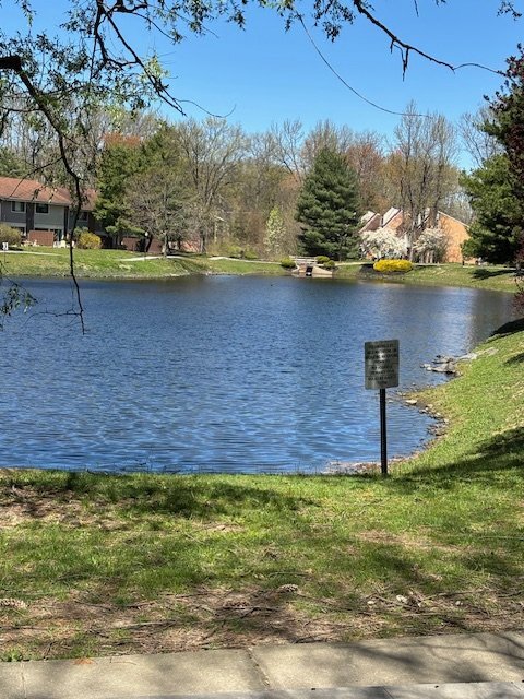 Building Photo - 1151 Golden Pond Ct