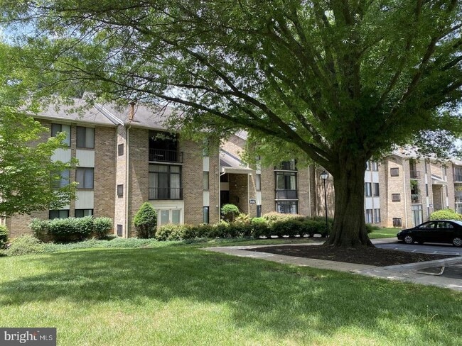 Building Photo - 5482 Cedar Ln