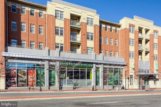 Building Photo - 1115 Cameron St