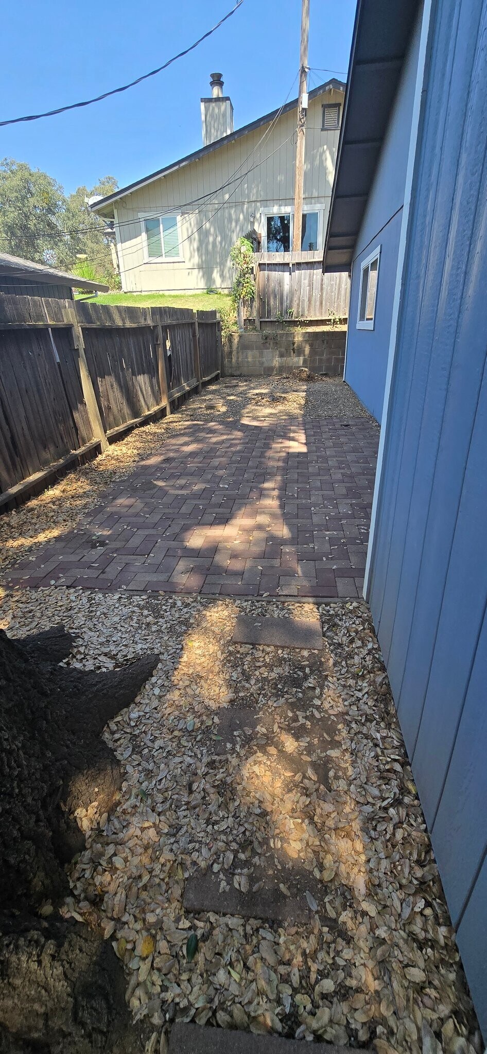 Building Photo - 323 Kipps Ln