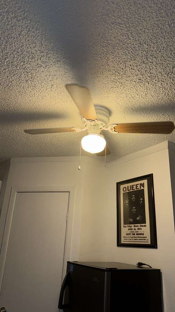 Building Photo - 1906 Rodman St