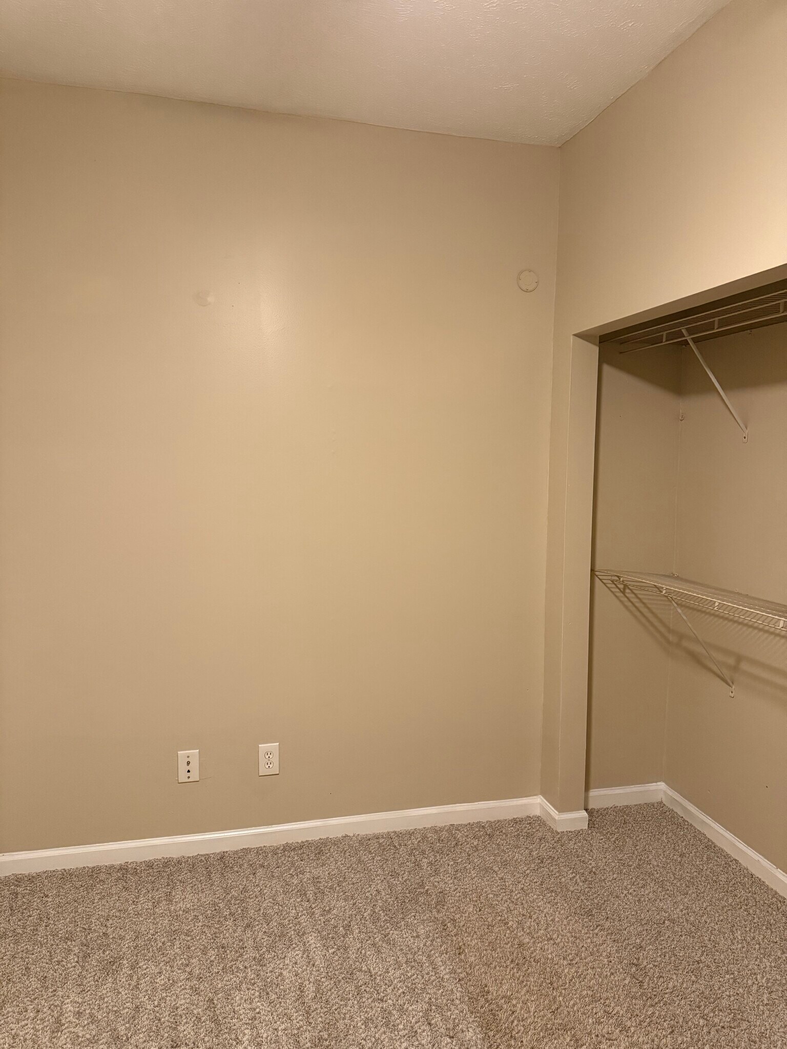 Building Photo - 351 Westfield St