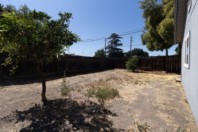 Building Photo - Newly Remodeled 2x1 in Newman!!!