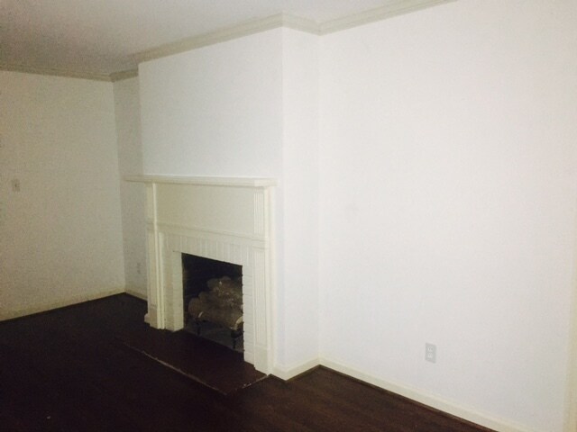 New molding! - 1206 Lafayette Ave