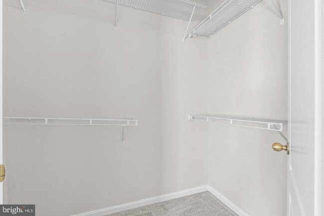 Building Photo - 519 Ensemble Ct