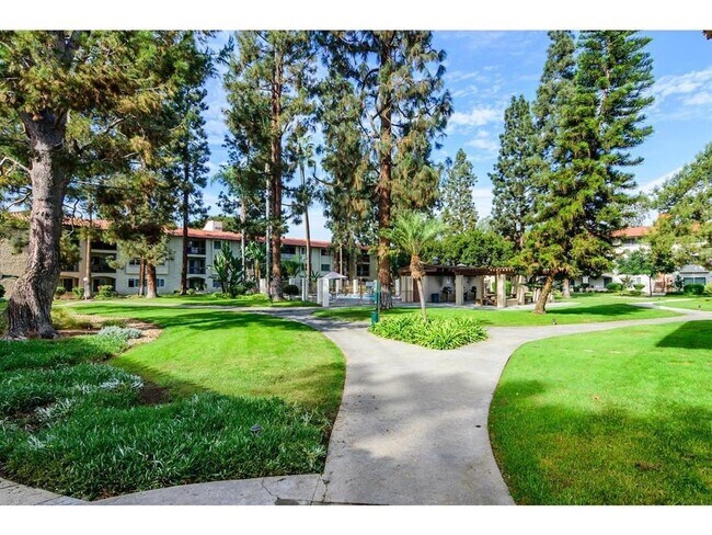 Primary Photo - $2,000- 1 Bed / 1 Bath Condo located in Mi...