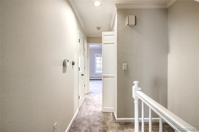 Building Photo - 338 Clayton St