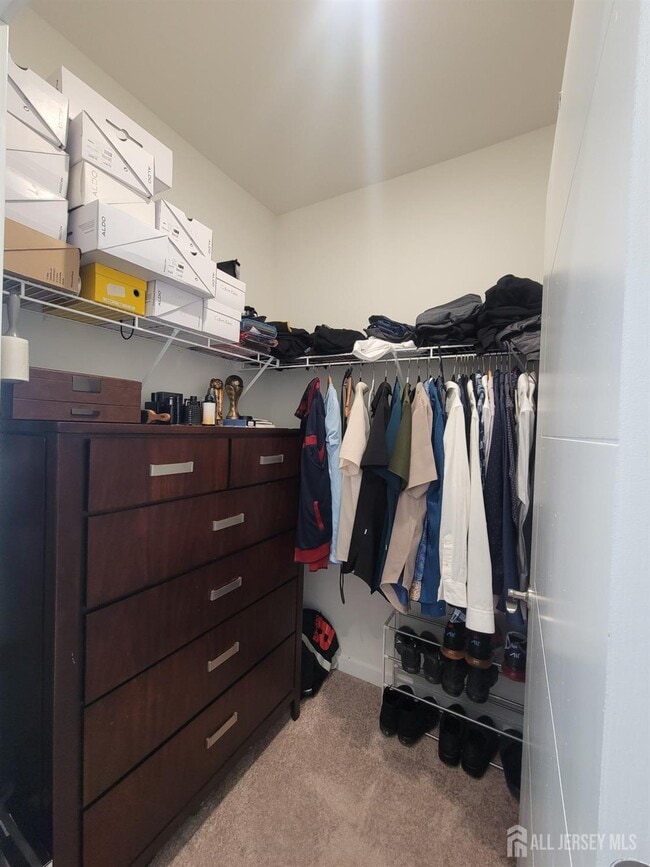 Building Photo - 231 Lorhan Dr