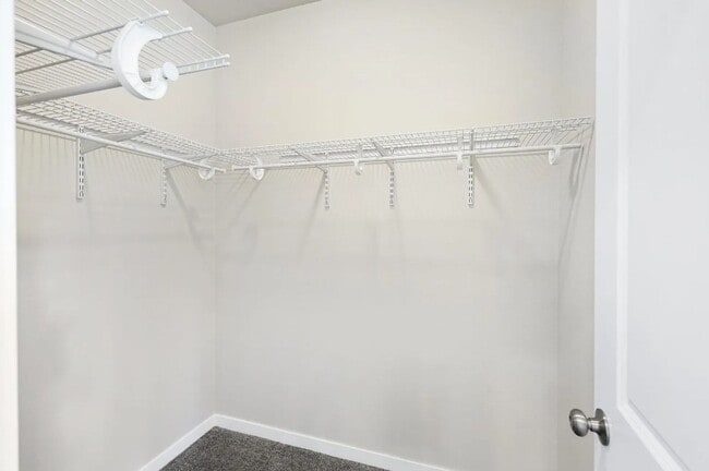 Building Photo - Modern Updates Meet Classic Charm in This ...