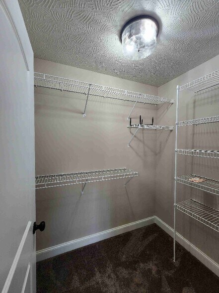 Building Photo - 429 St Cloud Ct