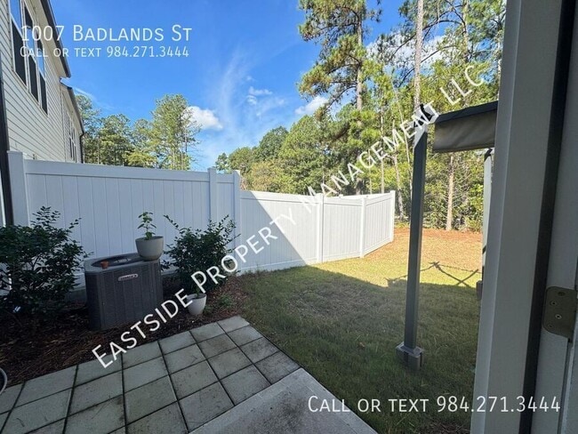 Building Photo - 1007 Badlands St