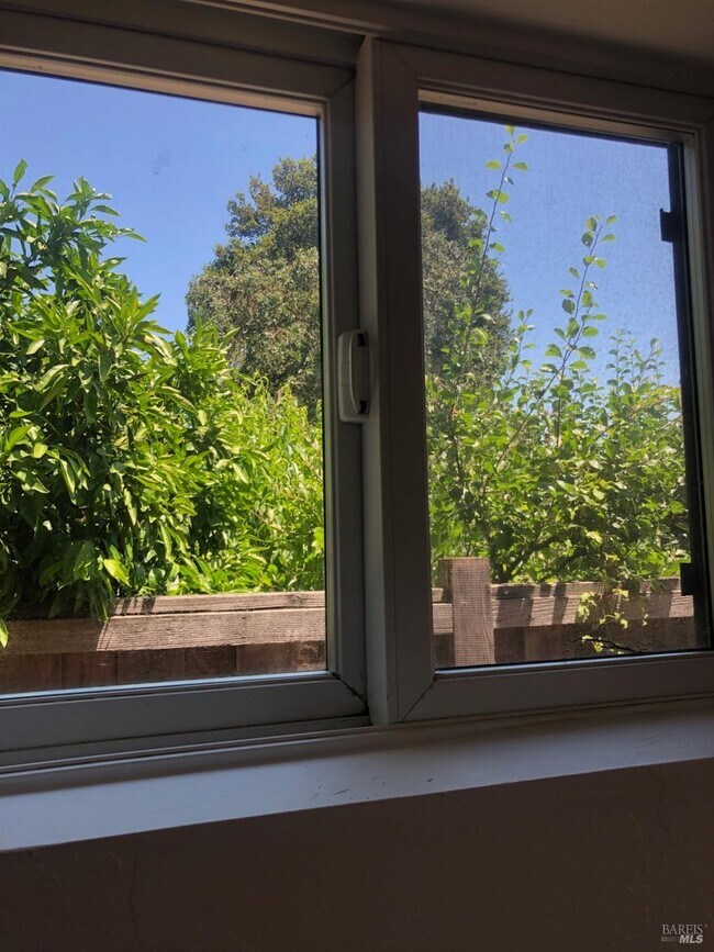 Building Photo - 334 Ridgway Ave