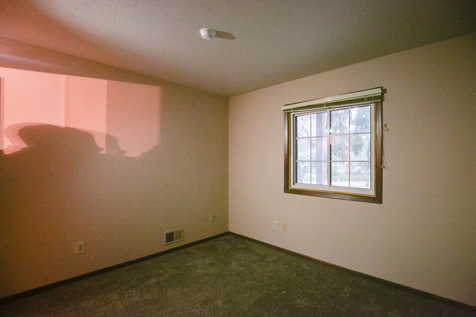 Building Photo - 12115 Drake St NW