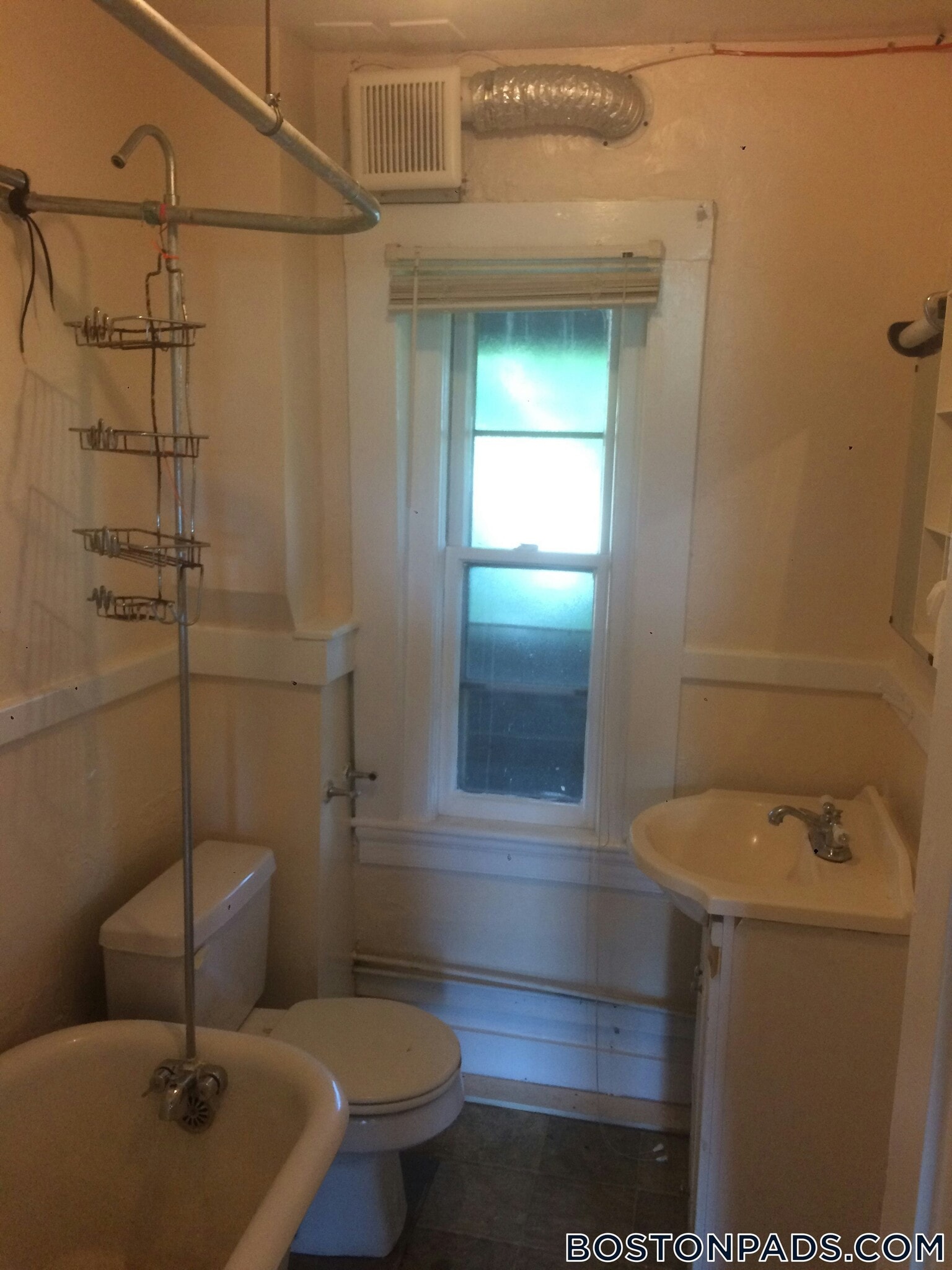 Building Photo - 193 Mt Auburn St