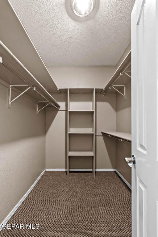 Building Photo - 12733 Tierra Salas Dr