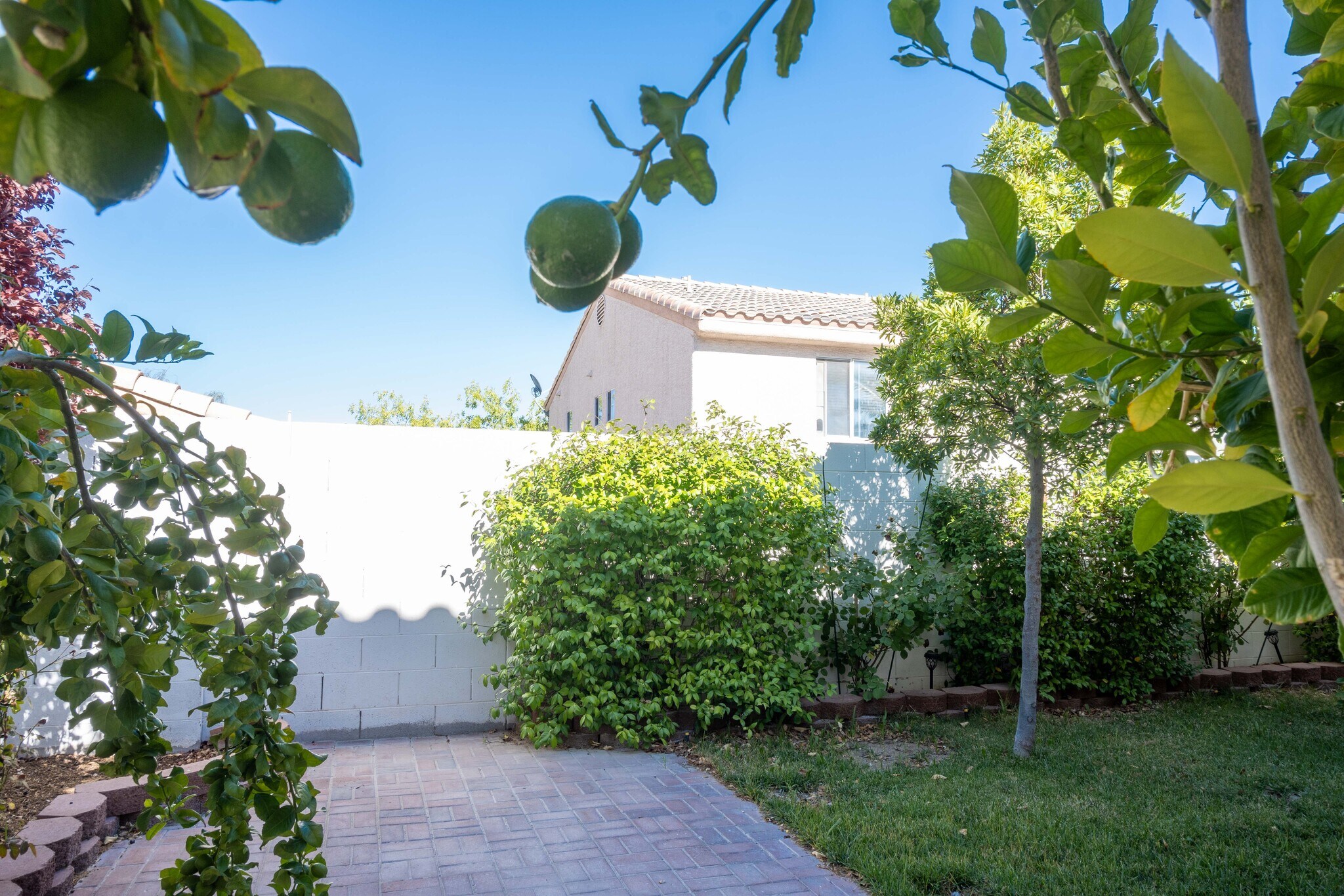 Building Photo - 7924 Horn Tail Ct