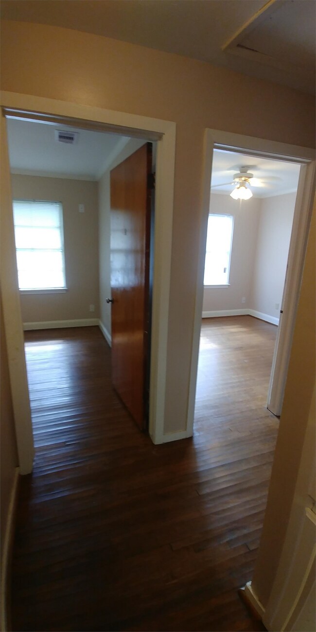 Building Photo - 104 Caladium St